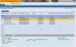 Робоче місце менеджера по кредитам в SAP Portal (навчальне відео)